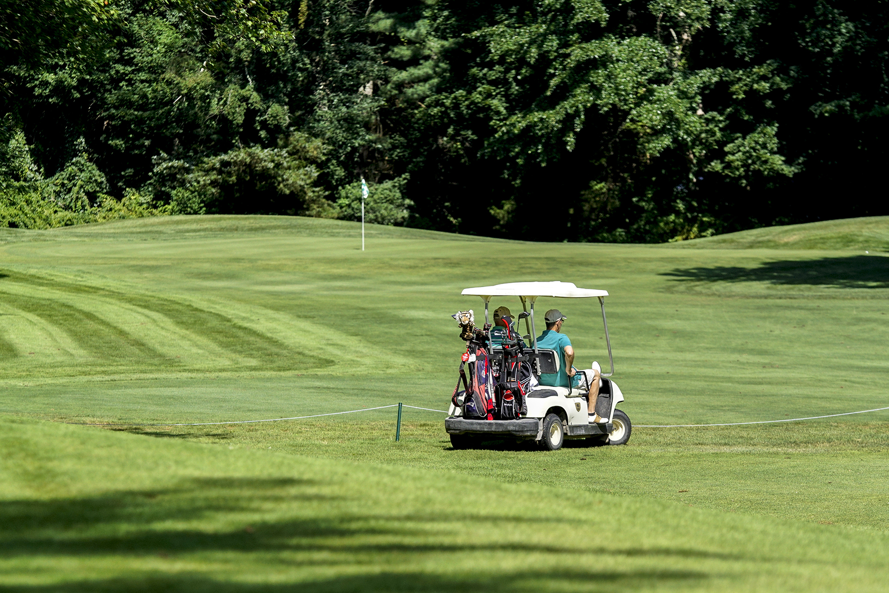 Pine Oaks Golf Course View Course Hole
